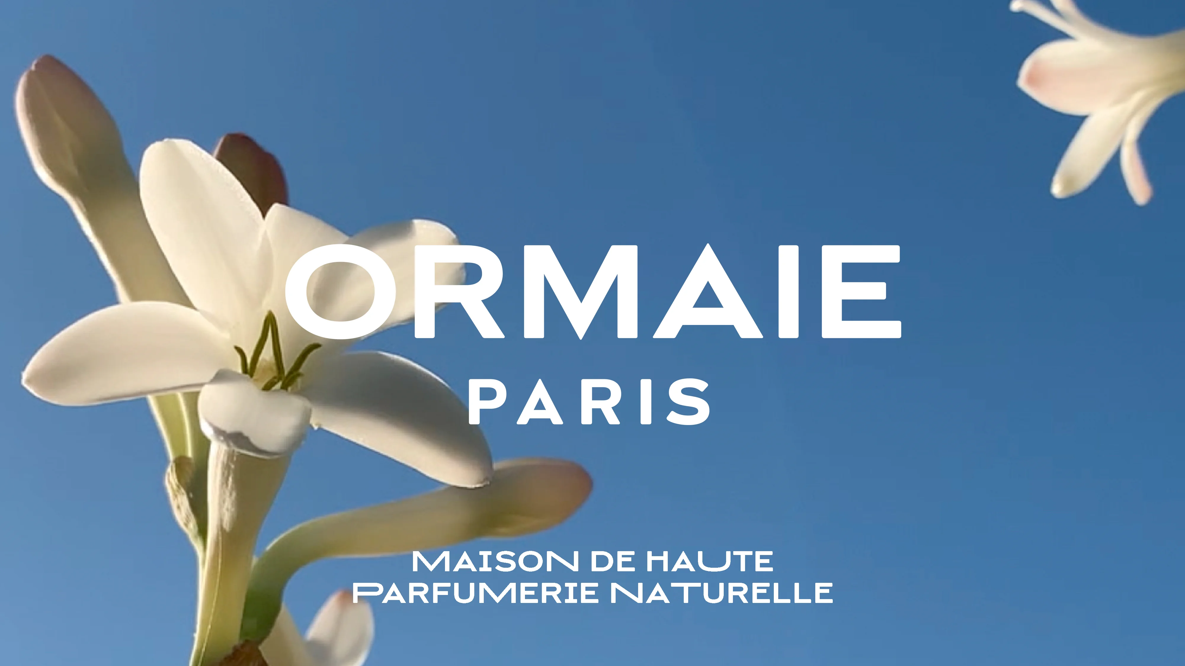 Tableau Parisien Eau de Parfum – ORMAIE