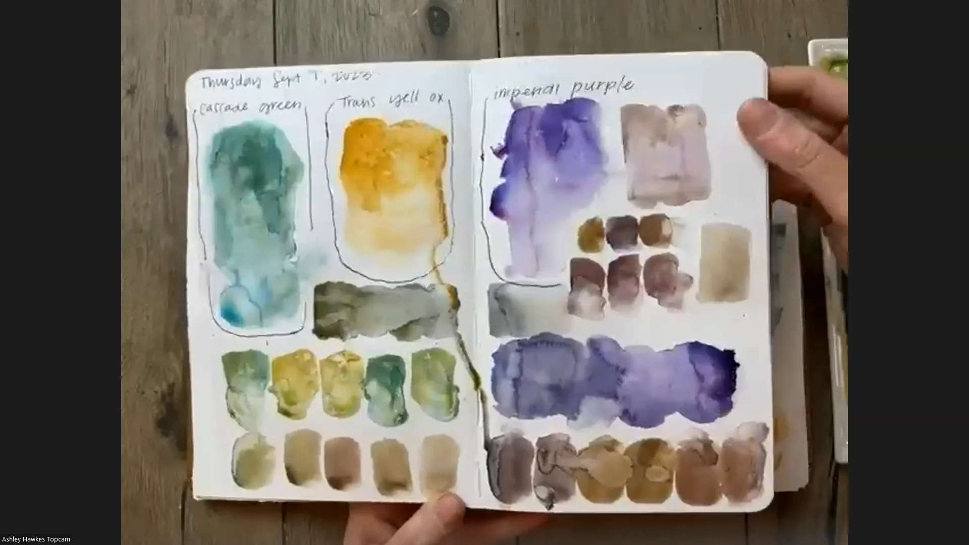 Tis the Season - Limited Edition Watercolor Set - DANIEL SMITH