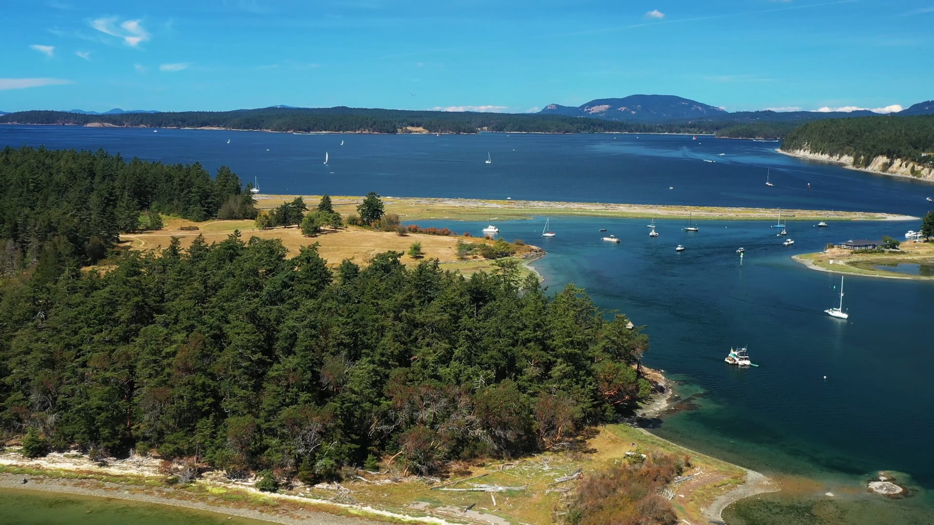 Franny + Alex | 8.12.2023 | Lopez Island