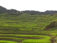 De rijstterrassen van de Cordillera