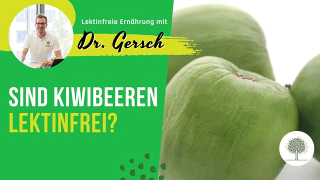 Sind Kiwibeeren lektinfrei?