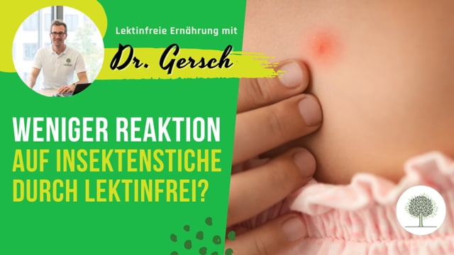 Kaum mehr Reaktion auf Insektenstiche durch lektinfreie Ernährung: Wir erklären, wie der Verzicht auf Lektine unsere Reaktion auf Insektenstiche verringern kann. 