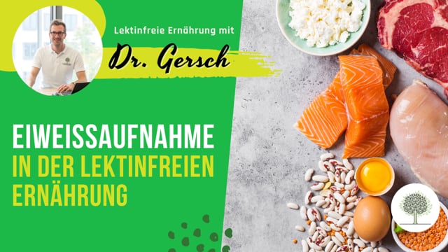 Video: Eiweißaufnahme in der lektinfreien Ernährung 