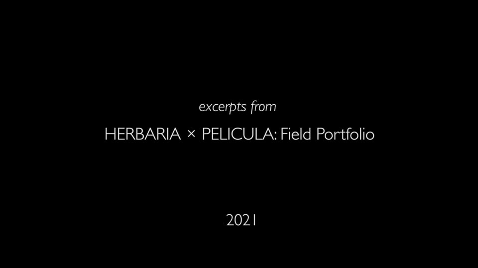 HERBARIA × PELICULA: Field Portfolio