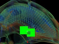 Trek - Customer Success Story