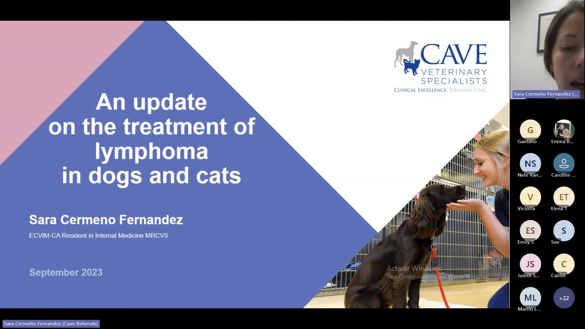 An update on treating lymphoma in cats and dogs on Vimeo