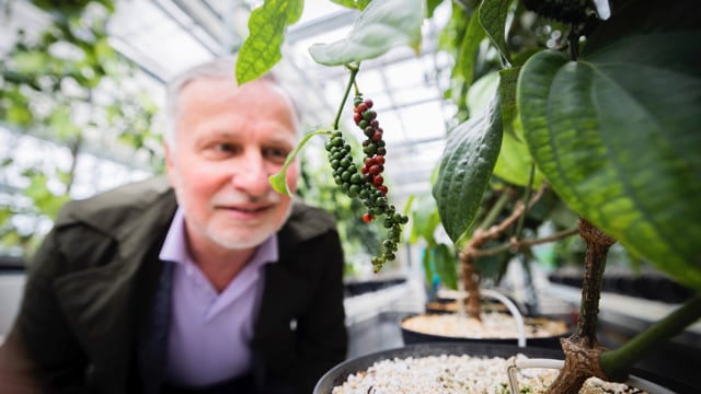 Indoor Farming: Die Landwirtschaft der Zukunft