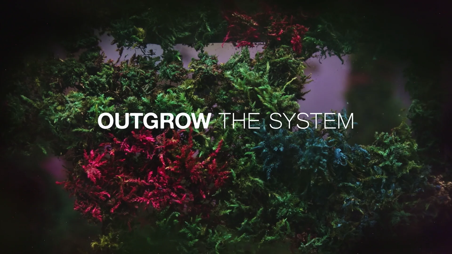 Trailer: Outgrow the System (longer version)