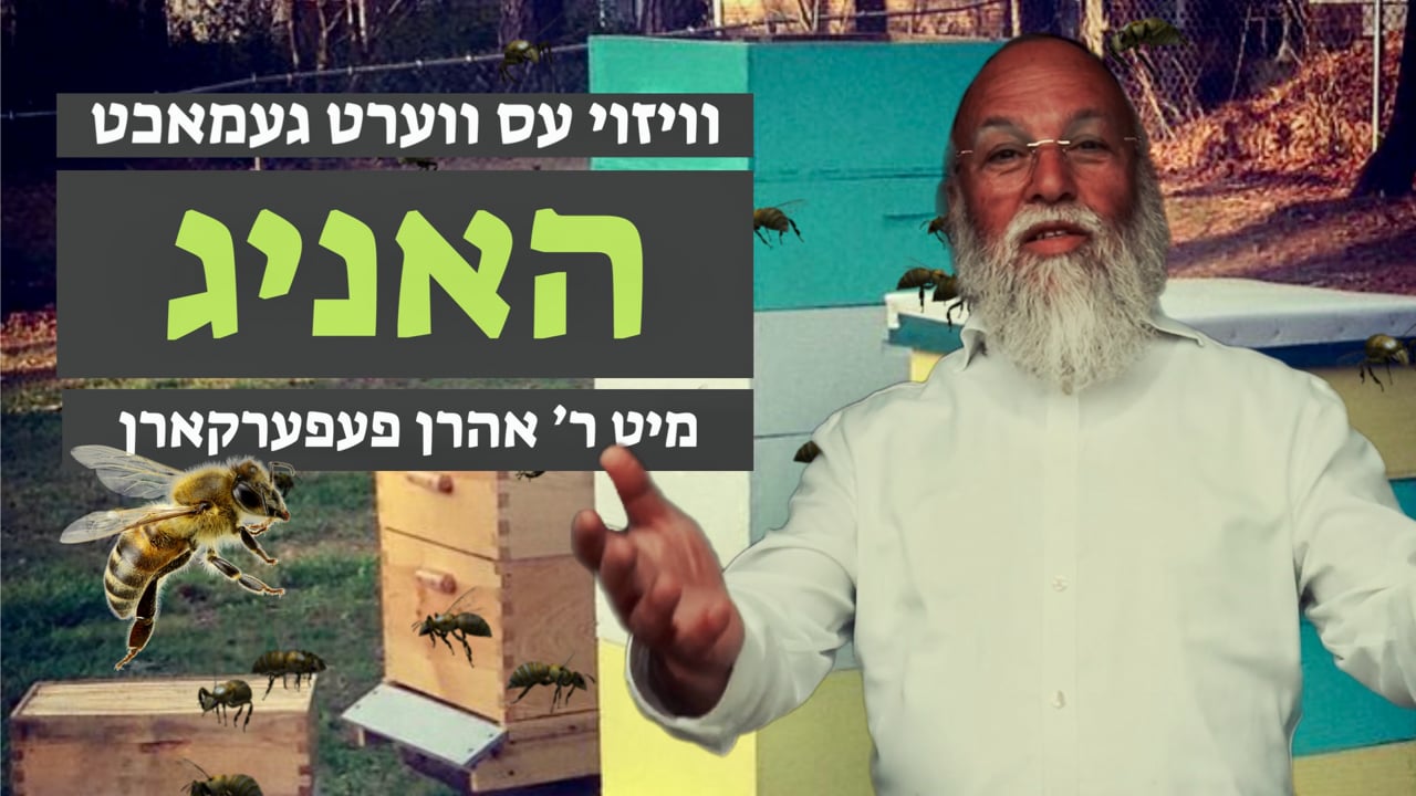 אחים ביחד באזוכט א האניג פאבריק