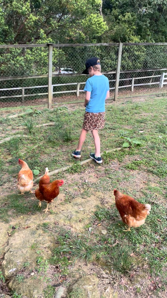 14.09.23 nature science Outdoor exploration