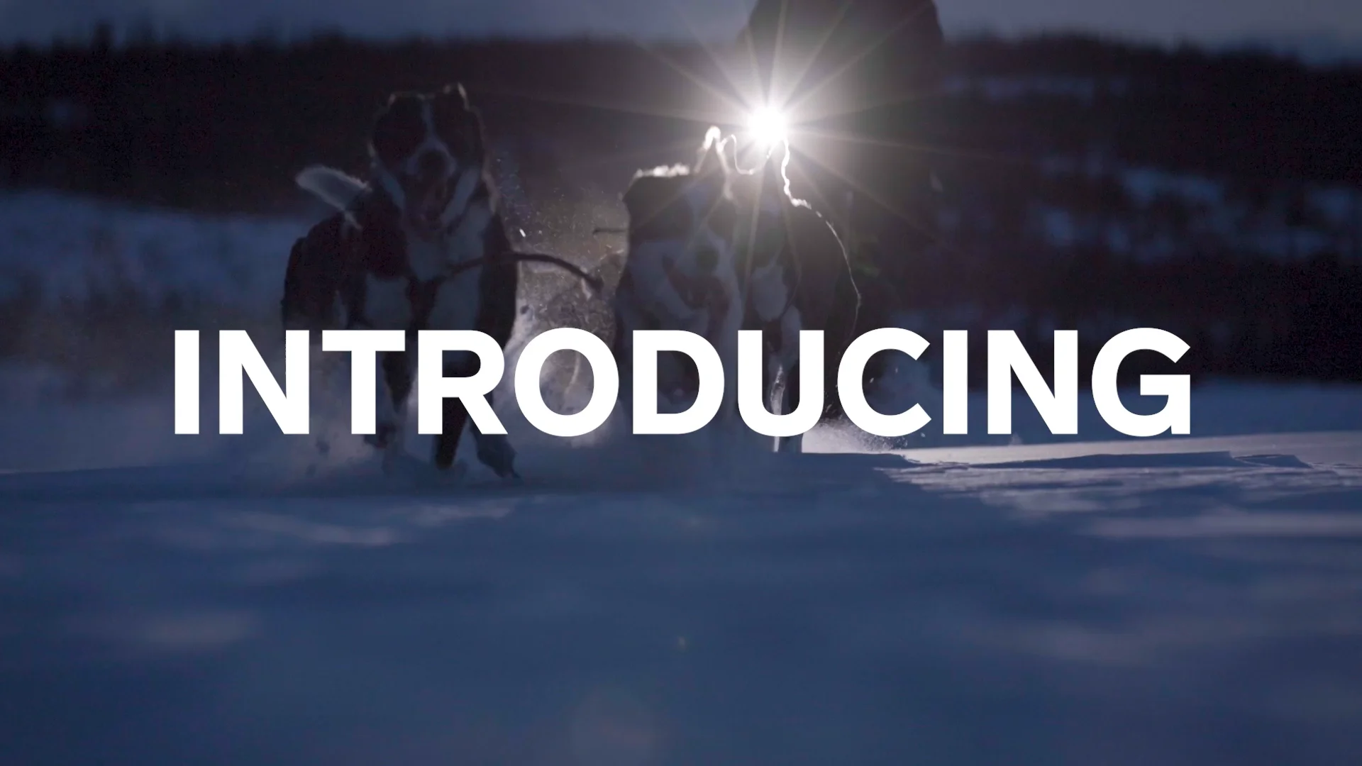 Silva Free M 3000 Lumen Headlamp | Great For Skiing