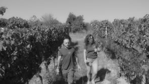 Un grande vino nasce grazie al vigneto.