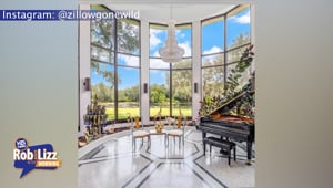 Zillow Gone Wild