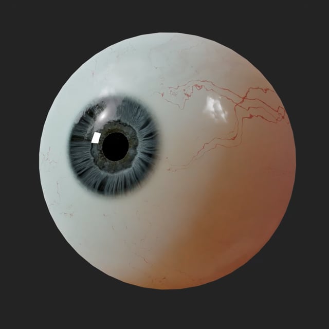 Open Zoomed Related Entry Procedural Iris 3D demonstration
