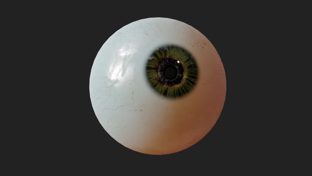 Open Zoomed Related Entry Procedural Sclera 3D Demonstration