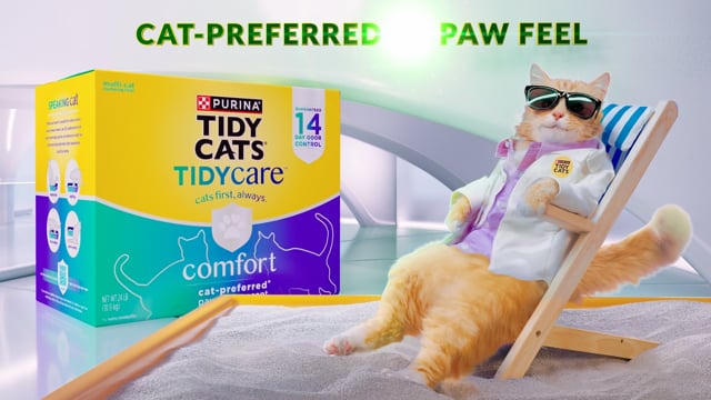 Tidy Cat Glasses 