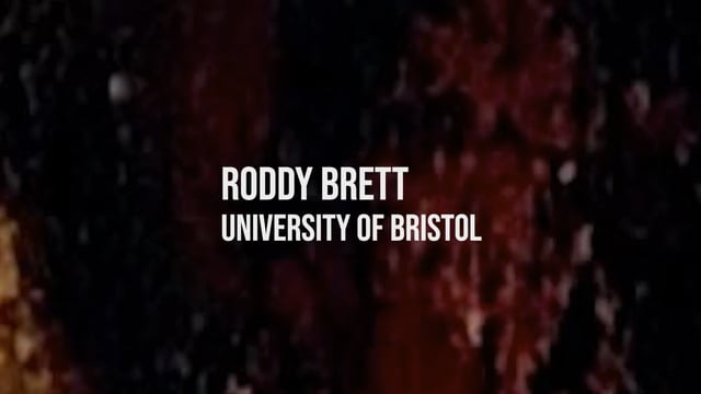 Roddy Brett: Living With Disappearance