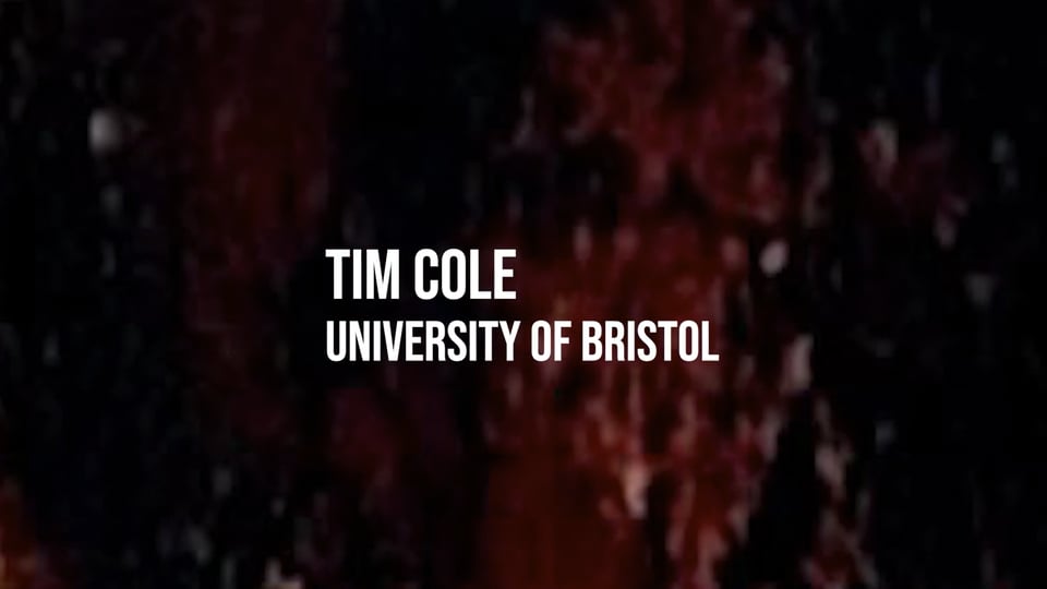 Tim Cole: Living With Disappearance