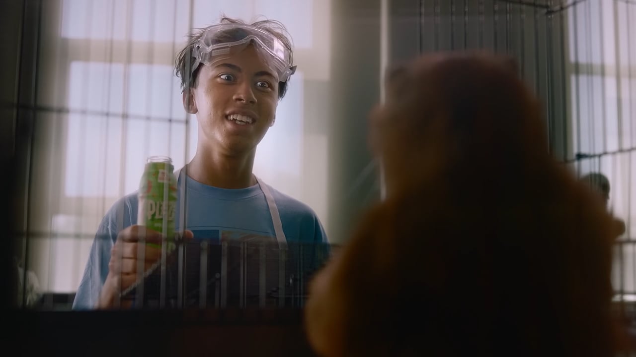 PLEZi | Say YEZi to PLEZi