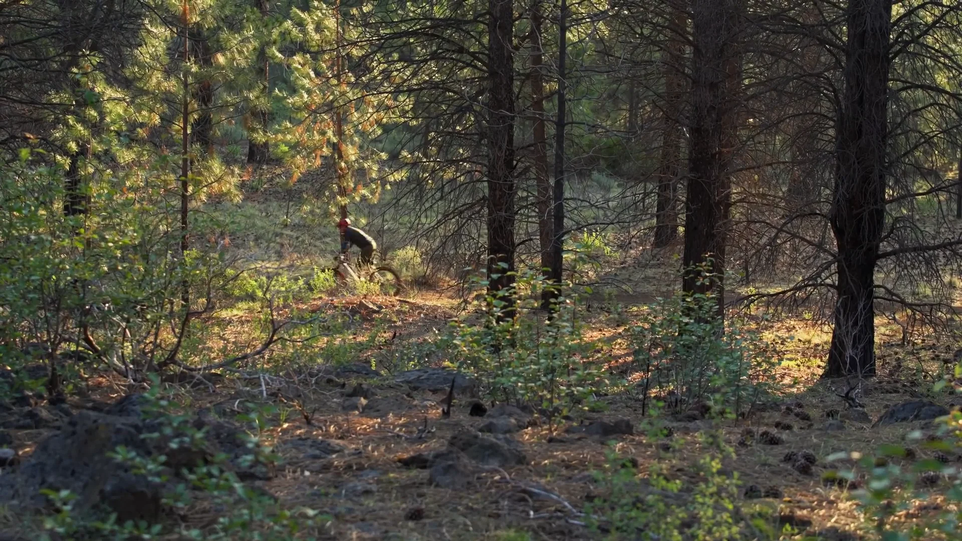 SPURCYCLE* original bell (silver) - BLUE LUG ONLINE STORE