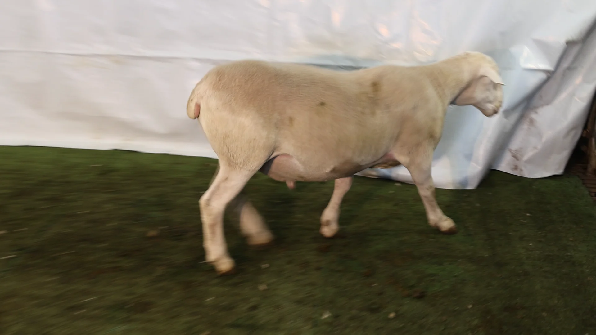 Lot 233 on Vimeo