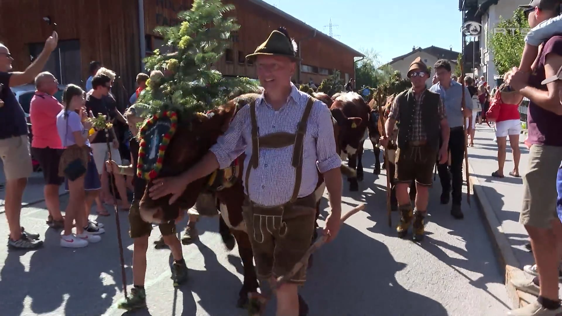 grosses-fest-zum-almabtrieb-in-bruck