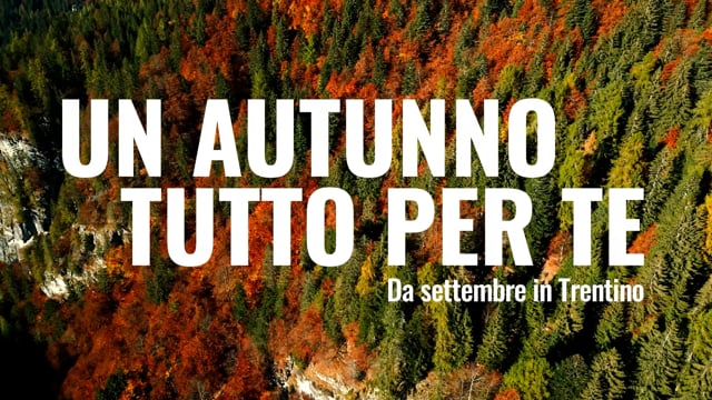 Enogastronomia Tradizioni | Sostenibilità
