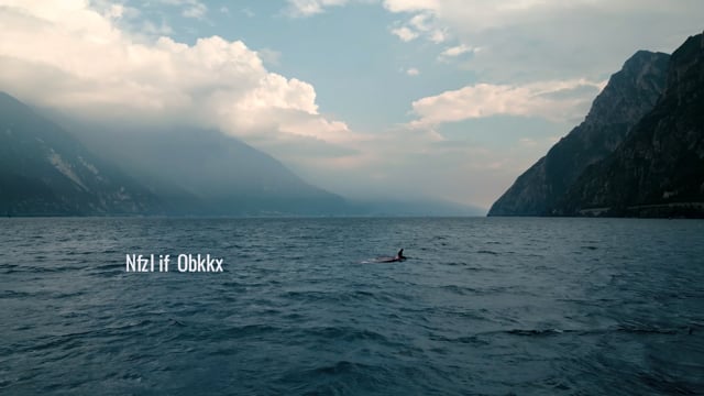 Lago Sport | Libertà