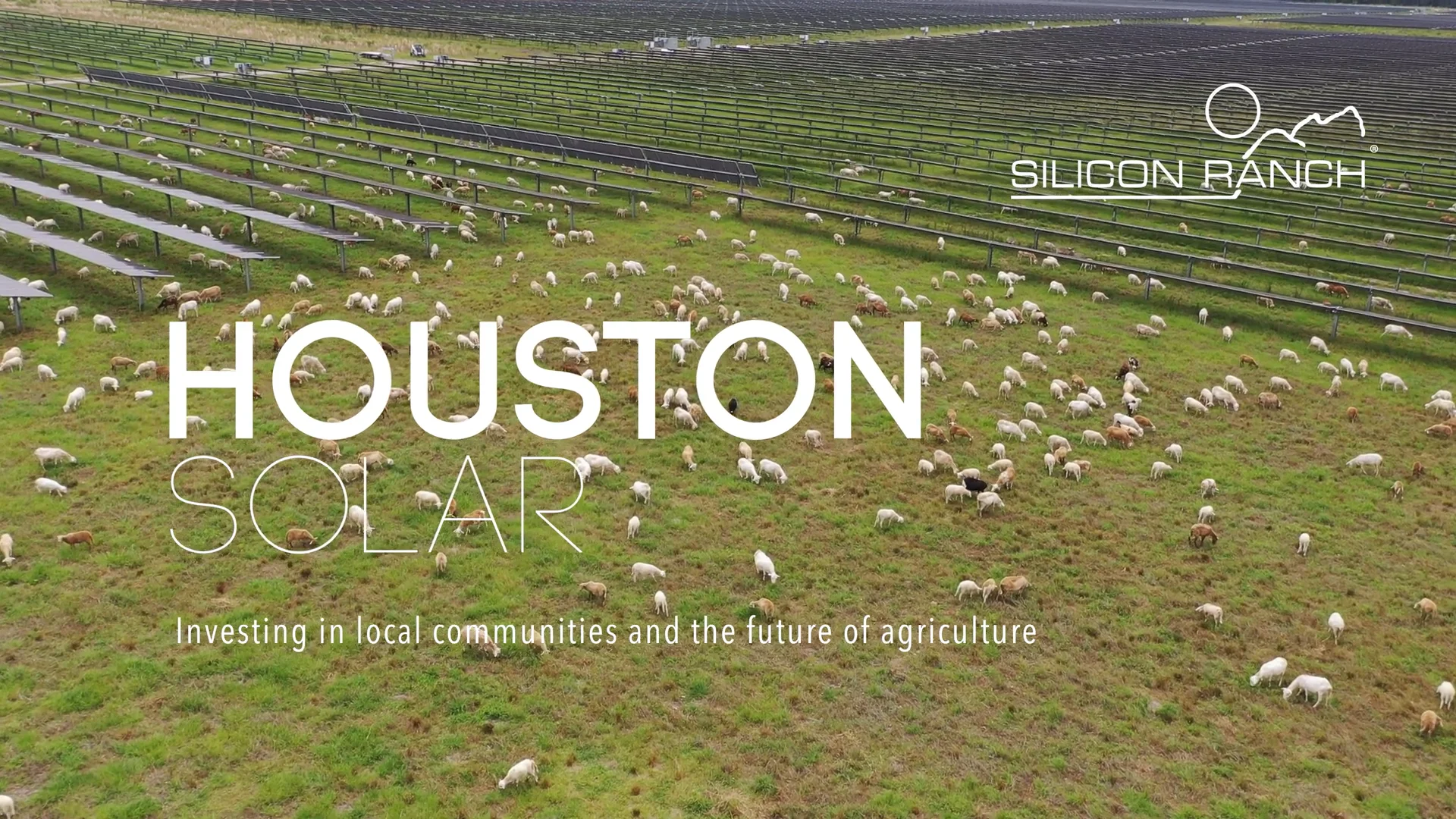 Houston Solar, Investing in local communities and the future of agriculture