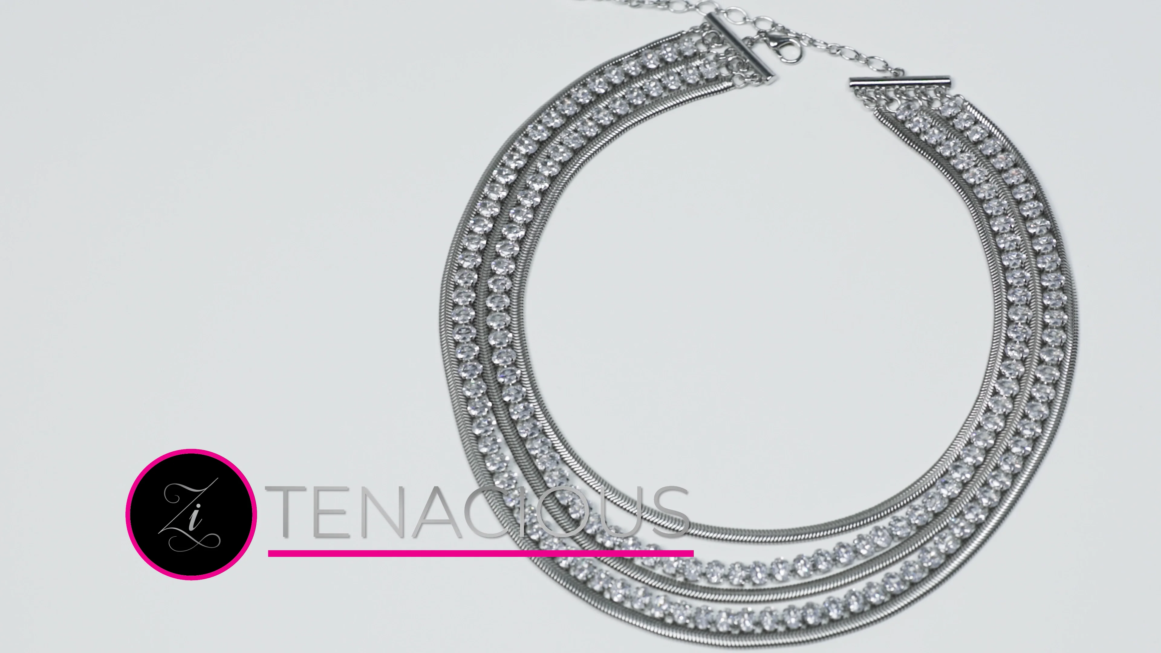 特別セーフ Collection Zi 2023 - Tenacious Necklace Paparazzi - その他
