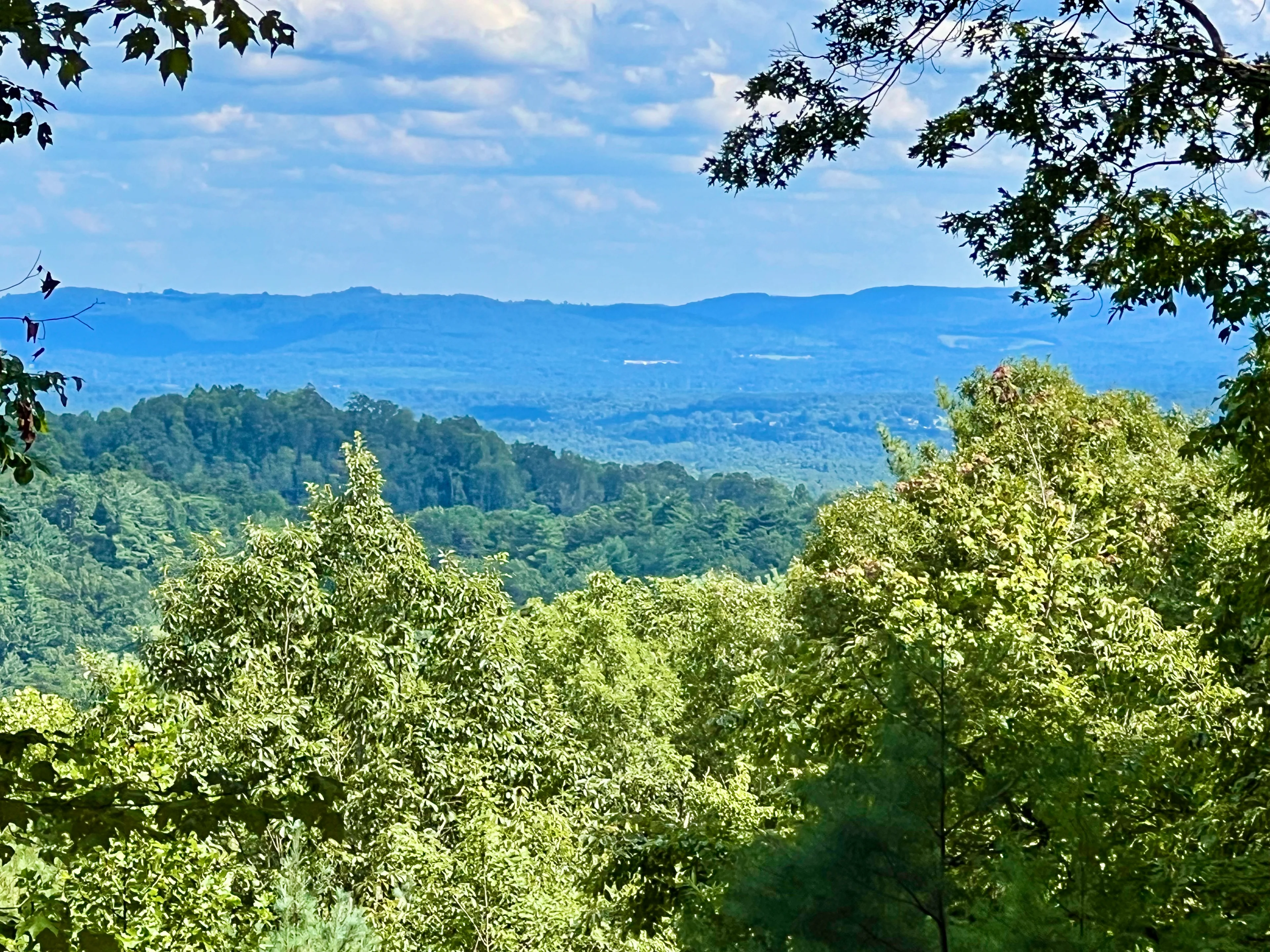 Lot 199 Meadow Crossing Rd, Chestnut Mountain Farms, McGrady NC on Vimeo
