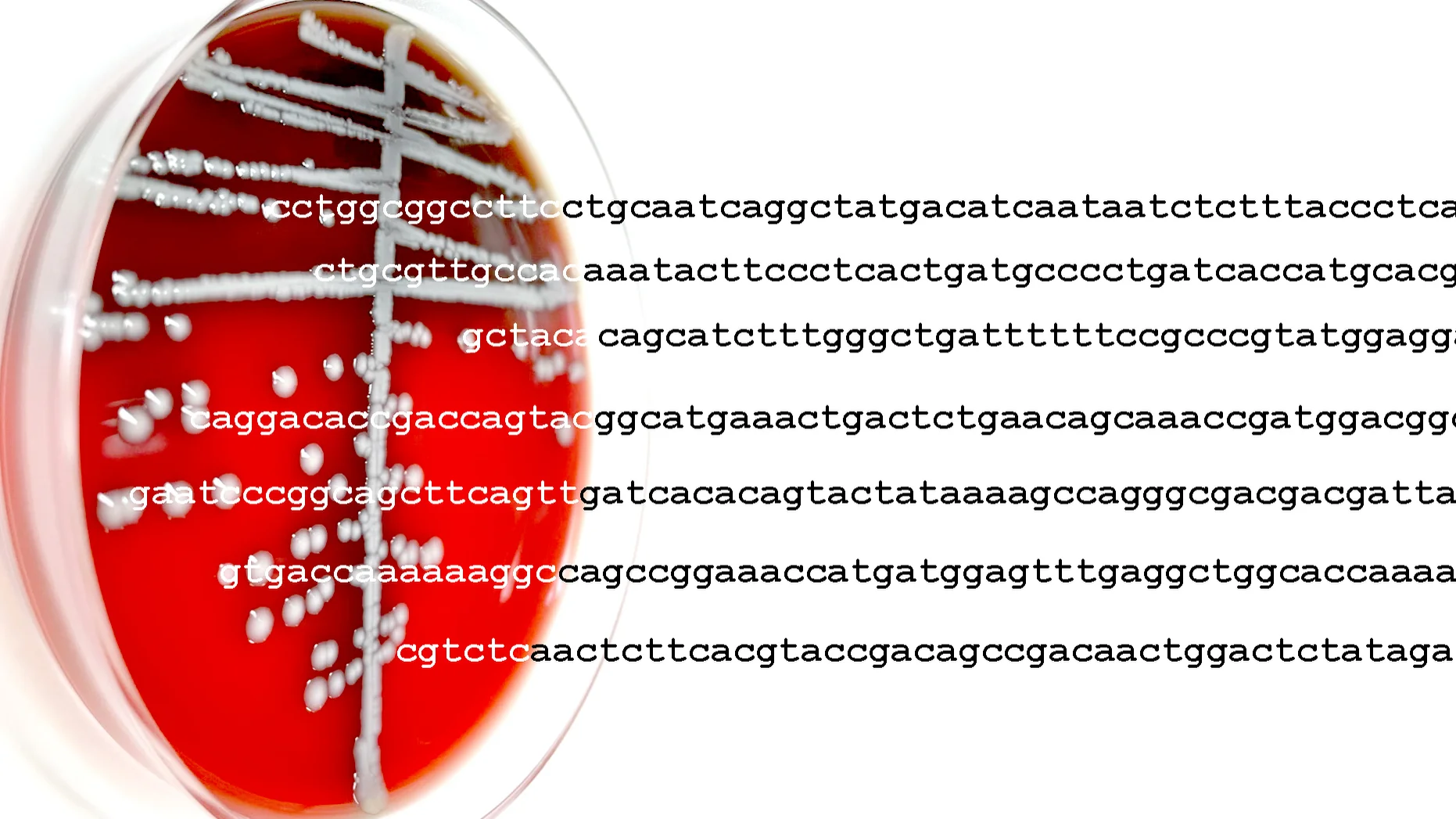 Connecting the Genome to Molecular Diagnostics