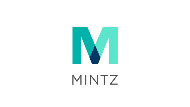Internship Opportunity: The Mintz Levin Project Analyst Program
