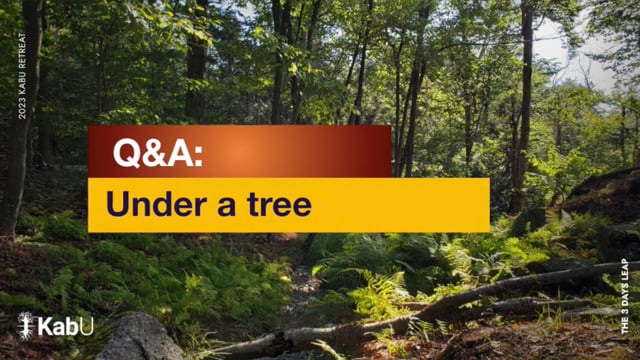 Sept 10, 2024 – Under a Tree