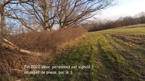 Un dépôt de pneus anciens