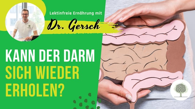 Ist damit zu rechnen, dass sich der Darm nach einiger Zeit der lektinreduzierten Ernährung wieder erholt?