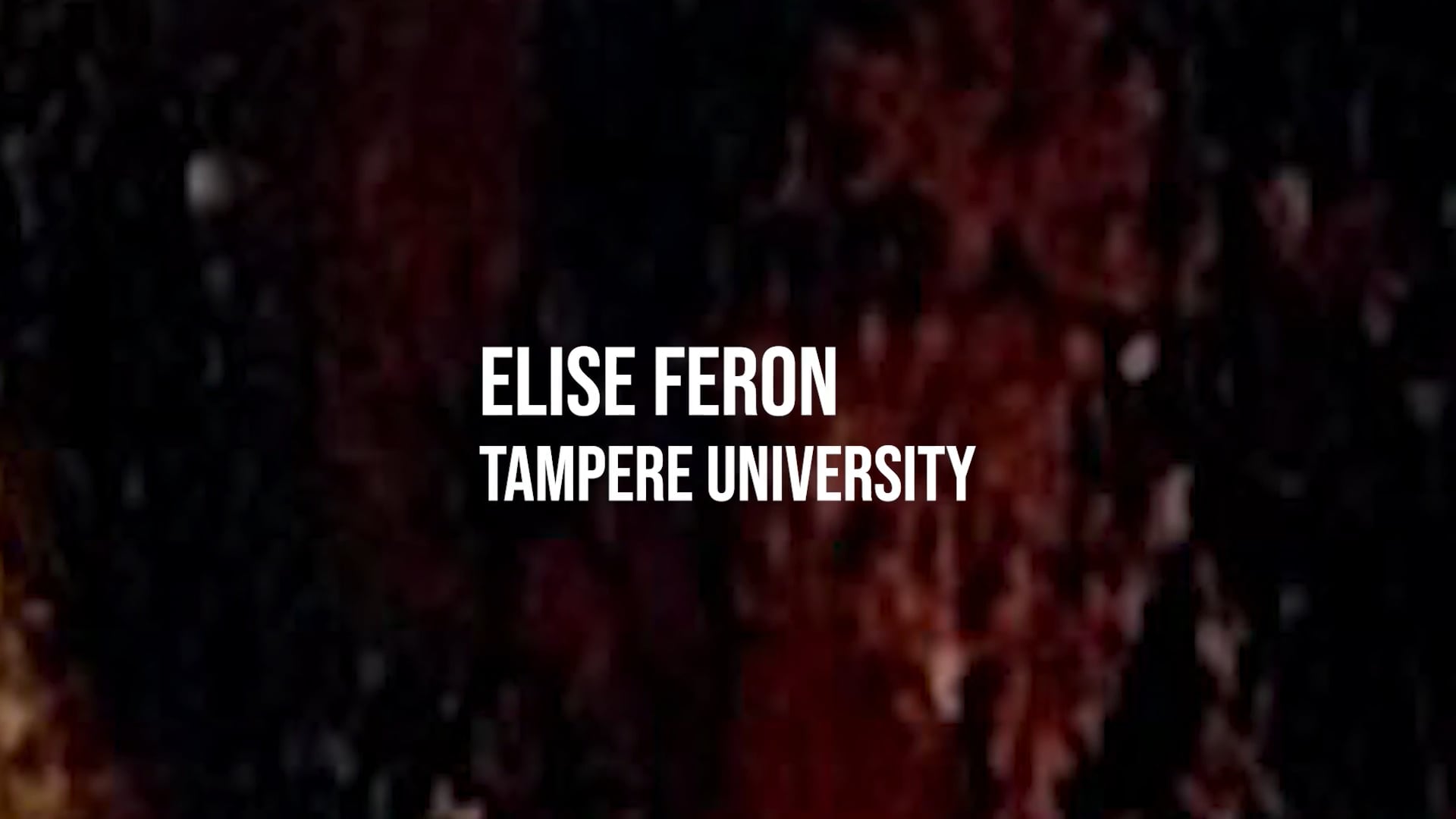 Elise Feron: Living With Disappearance