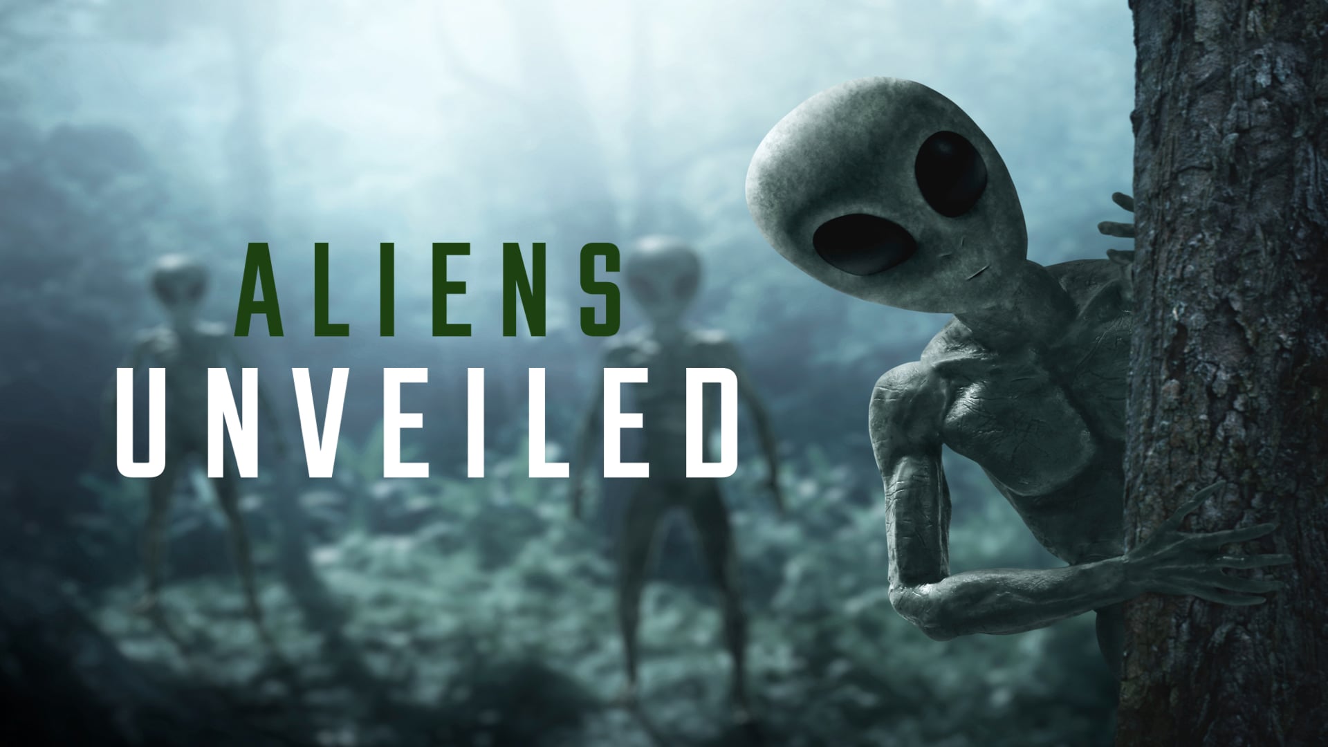 Doc Trailers - ALIENS UNVEILED: 50 DOCUMENTARIES On Vimeo