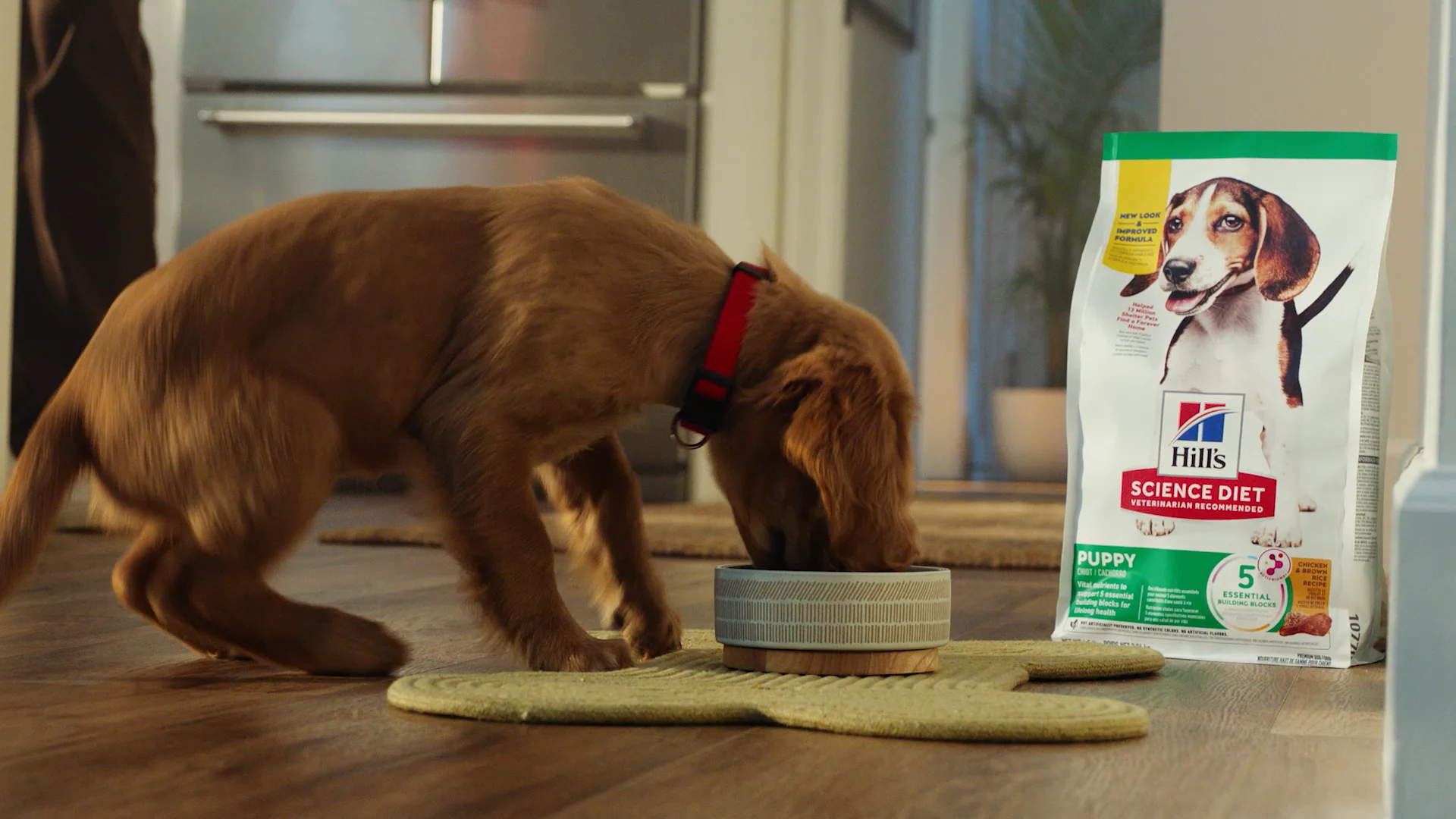 PetSmart Hills Commercial 6 on Vimeo