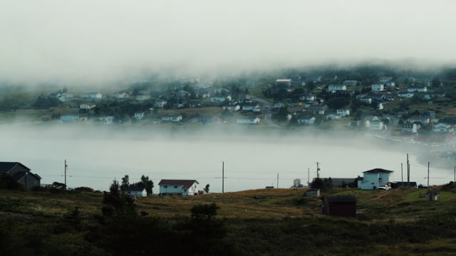 Newfoundland Tourism A Tangled Tale