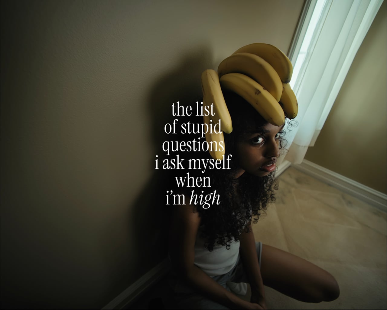 the list of stupid questions i ask myself when i’m high - Sergii Shevtsov, Luke McCutcheon - 