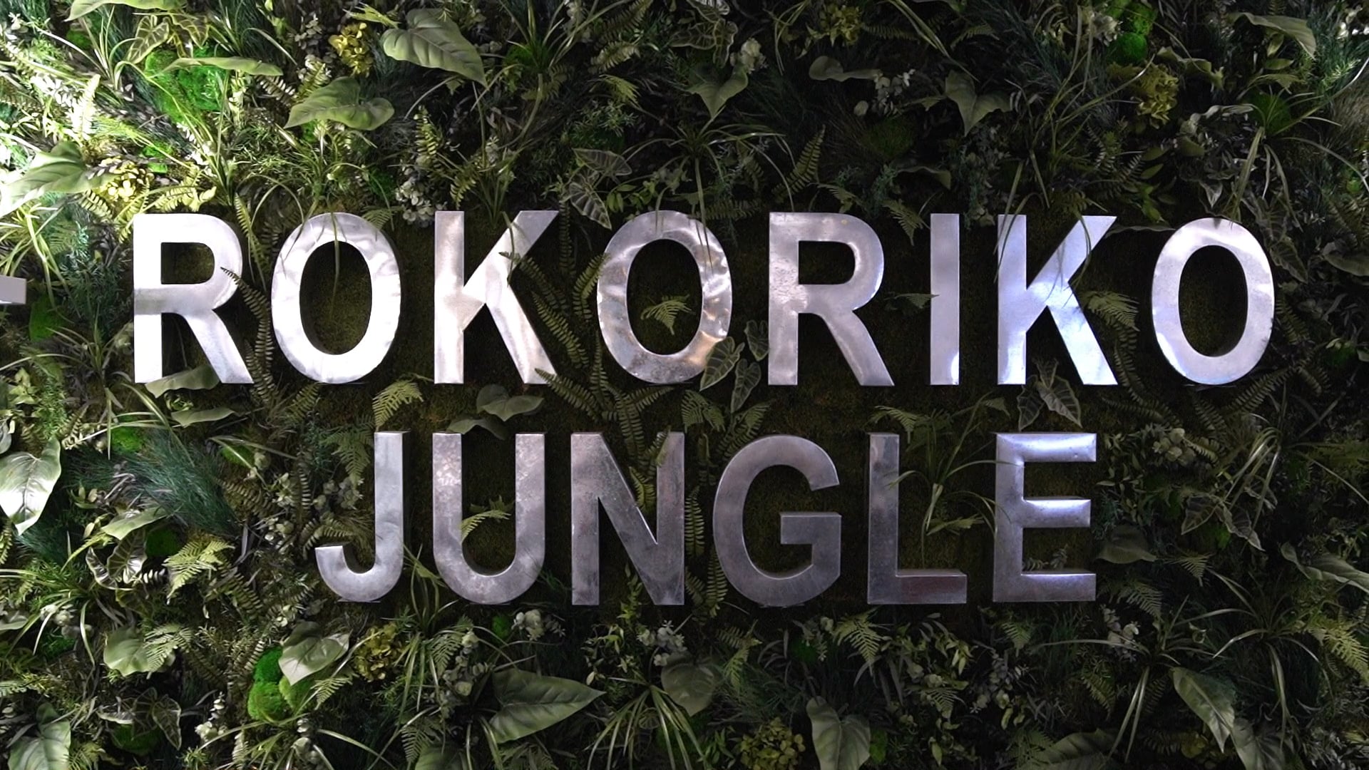 DSTNY cybersecurité