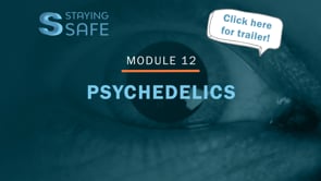 12 Psychedelics Trailer - SOCIAL MEDIA