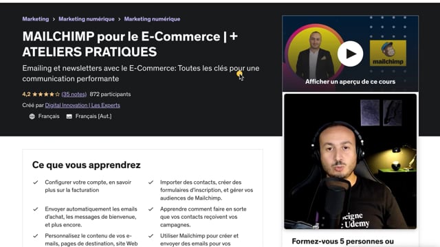 vous fournir une formation de e-mailing avec Mailchimp