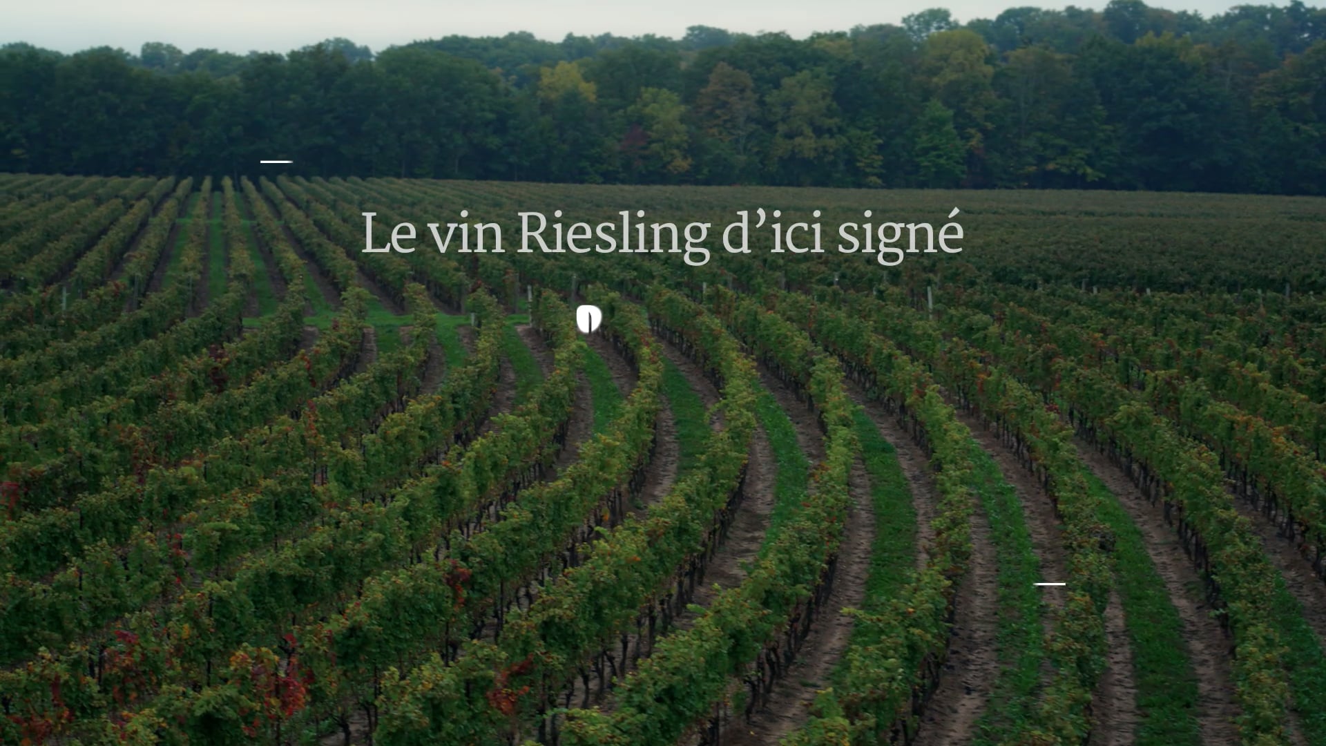 Bù - Vin Riesling
