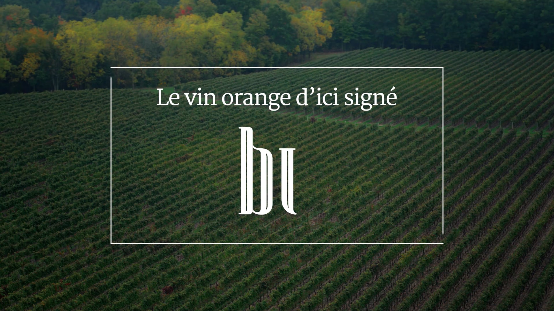 Bù - Vin Orange