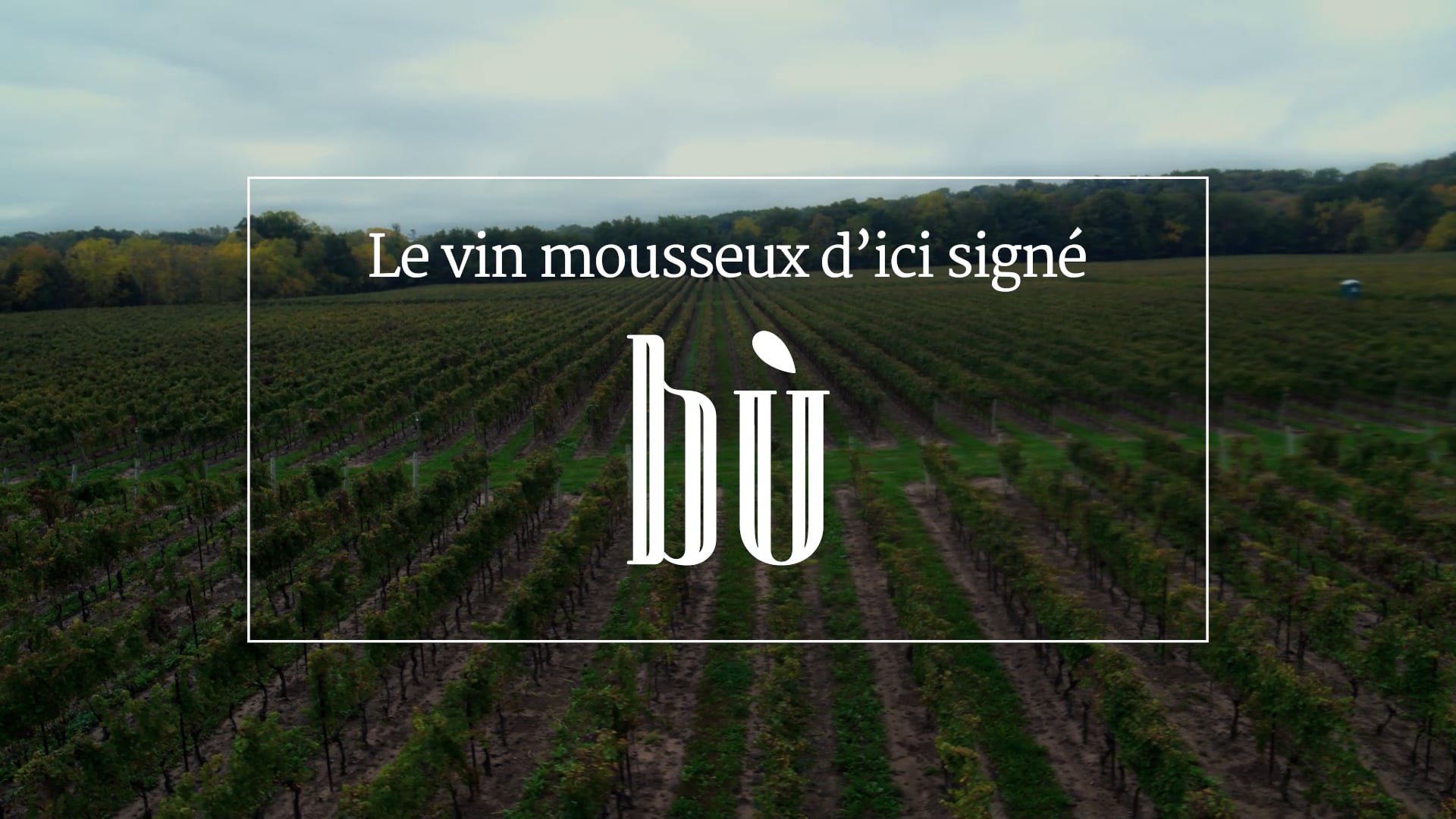 Bù - Vin Mousseux