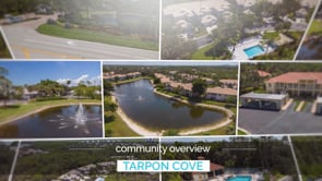 Related Embedded Video Item Thumbnail