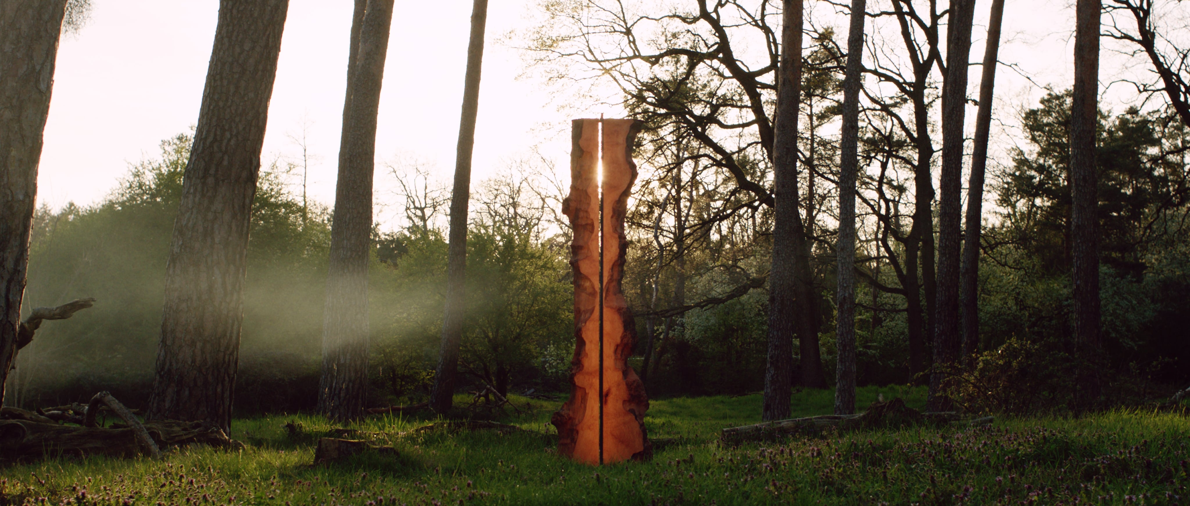 A unique reminder - a Carpenter Story