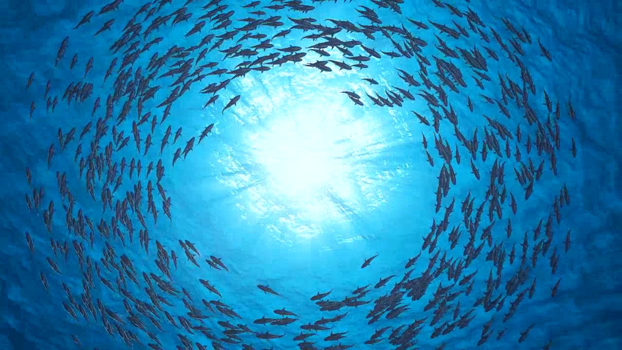 SafeWaters.AI
